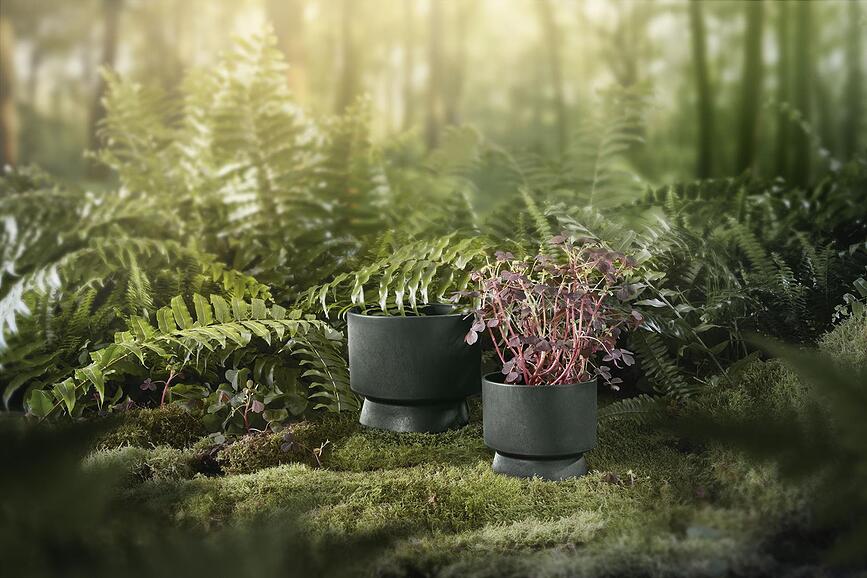 Rosendahl Posuda za cvijeće 19 cm tamnozelena