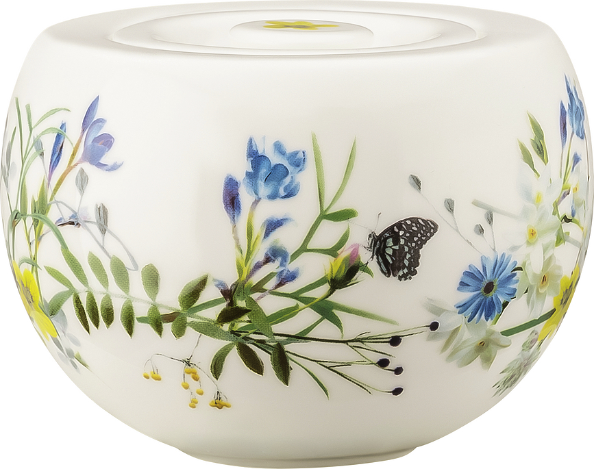 Brillance Šećernica Alpski vrt