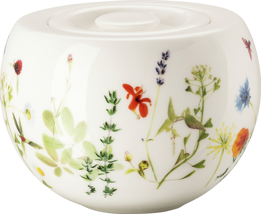 Brillance Ζαχαριέρα, σχέδιο Άνοιξη Κήπου