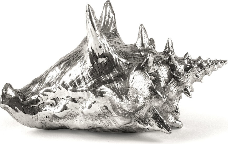 Concha Decorativa Hellter Shellter Wunderkammer