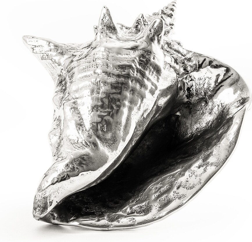 Concha Decorativa Hellter Shellter Wunderkammer