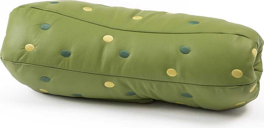 Coussin Seletti