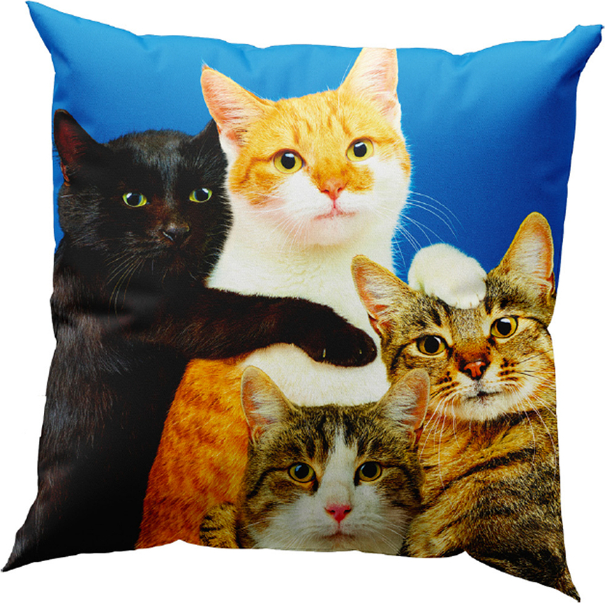 Cuscino decorativo Toiletpaper Polycats 50 x 50 cm
