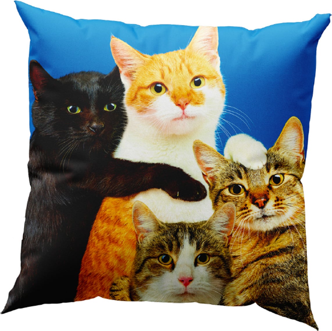 Dekokissen mit Daunenfüllung Toiletpaper Polycats 50 x 50 cm