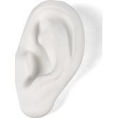 Dekoracja Memorabilia Mvsevm ucho
