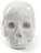 Dekoracja Memorabilia My Skull
