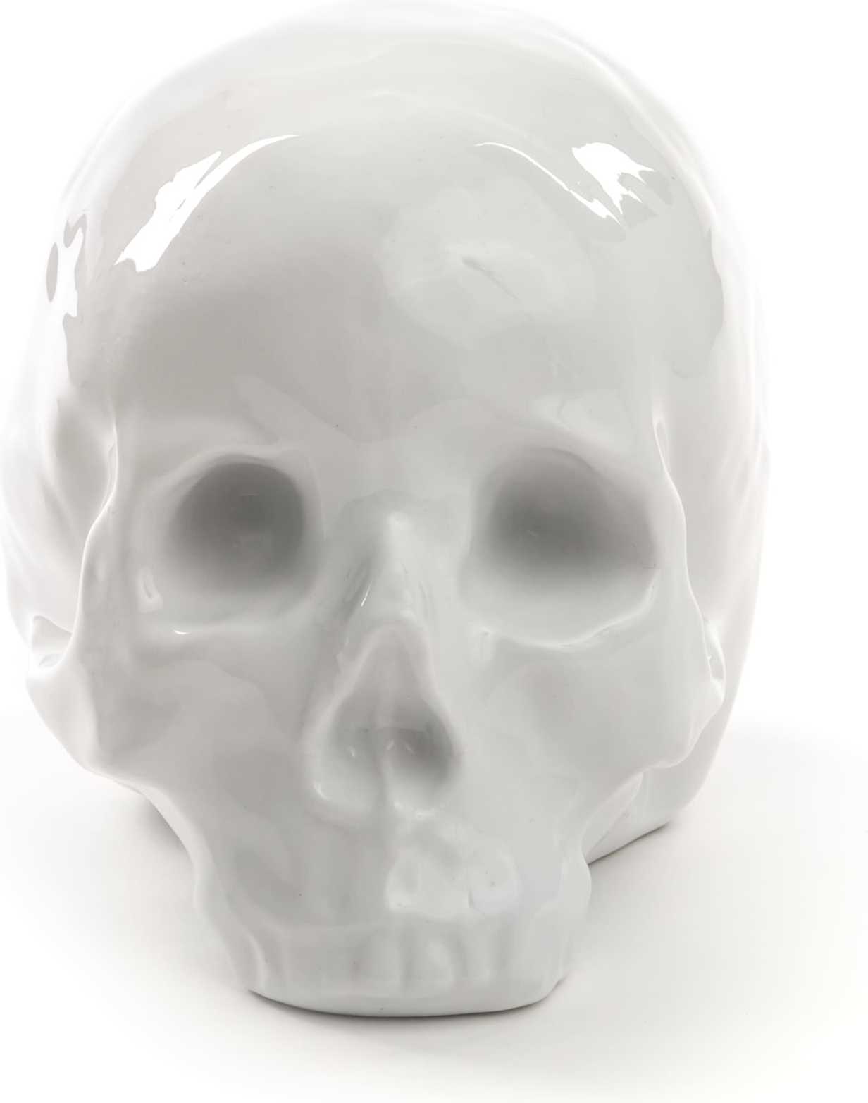 Dekoracja Memorabilia My Skull