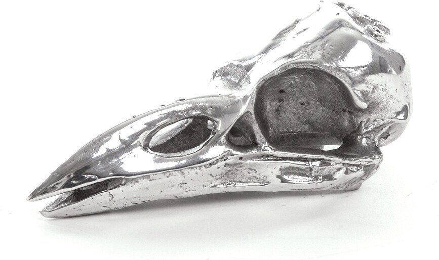 Figura Decorativa cráneo de cuervo Wunderkammer