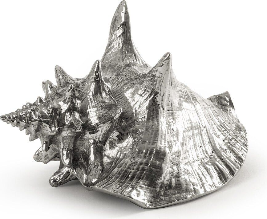 Hellter Shellter Wunderkammer Coquillage décoratif