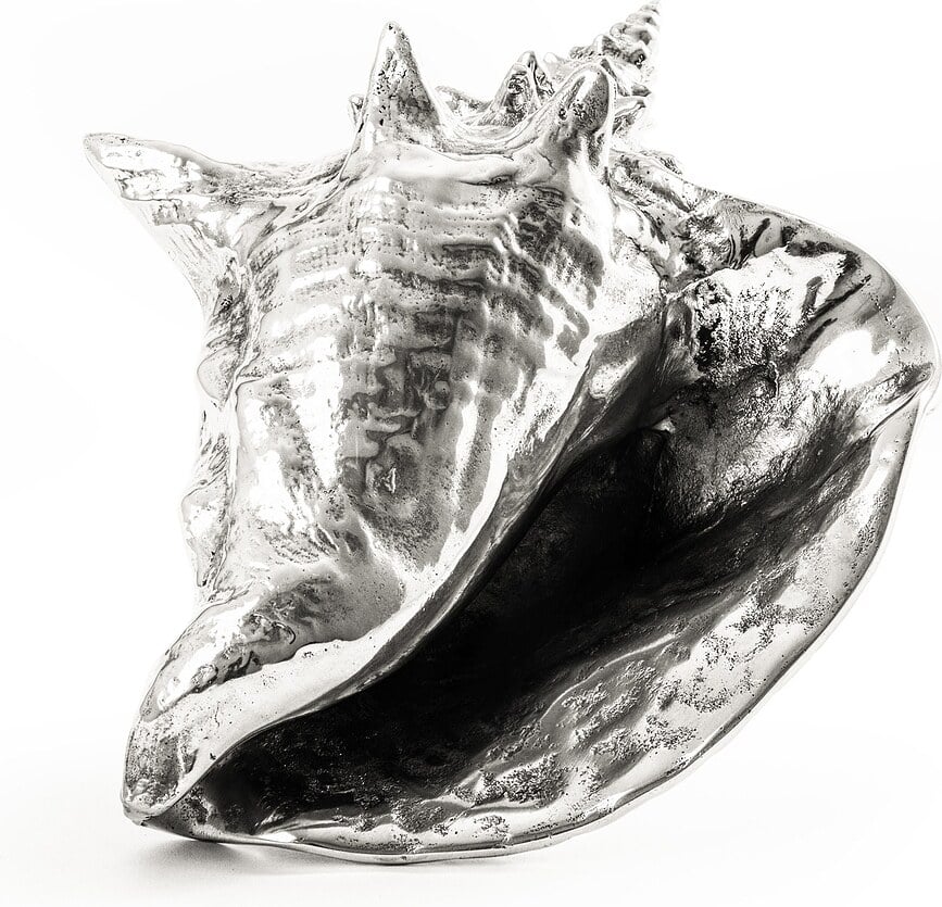 Hellter Shellter Wunderkammer Dekoracija školjka