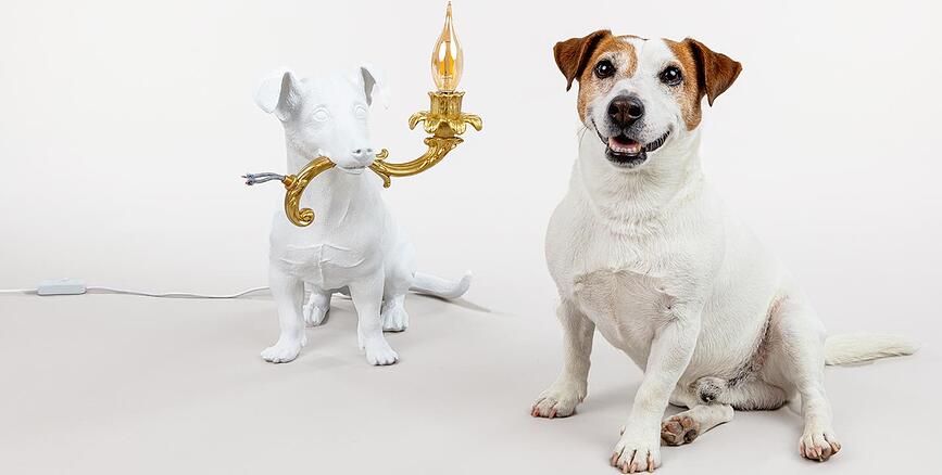 Lámpara de mesa Perro Rio