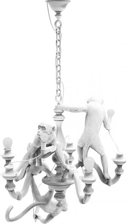 Lysekrone Monkey sort