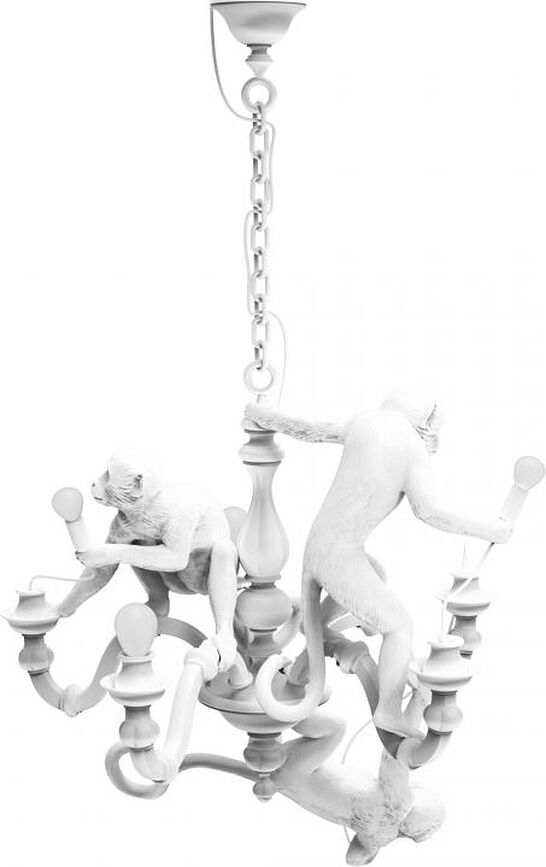Lysekrone Monkey sort