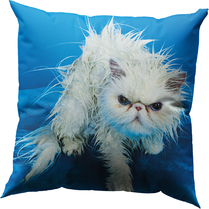 Μαξιλαροθήκη Toiletpaper Angry Cat 50 x 50 cm