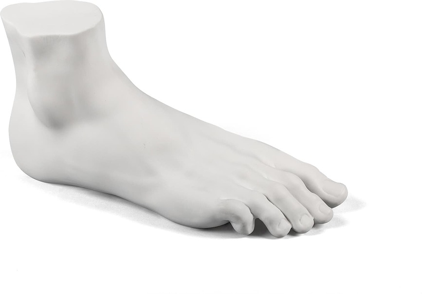 Memorabilia Mvsevm Figurine Pied masculin