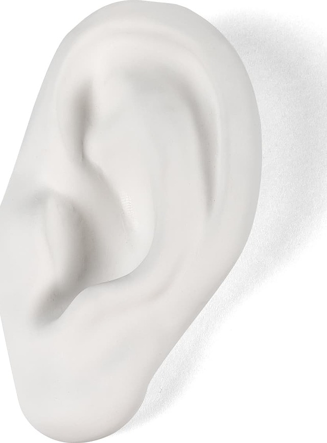 Memorabilia Mvsevm Sculpture Oreille