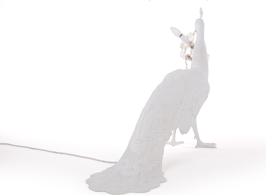 Peacock Svetilka talna