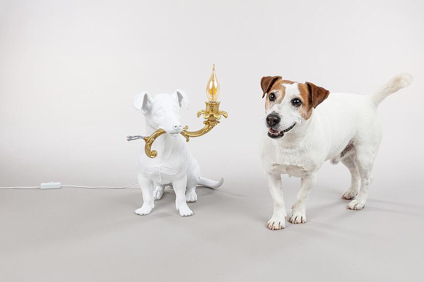 Rio Lampe de Table, motif chien