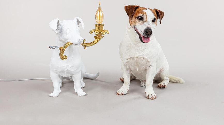 Rio Lampe de Table, motif chien