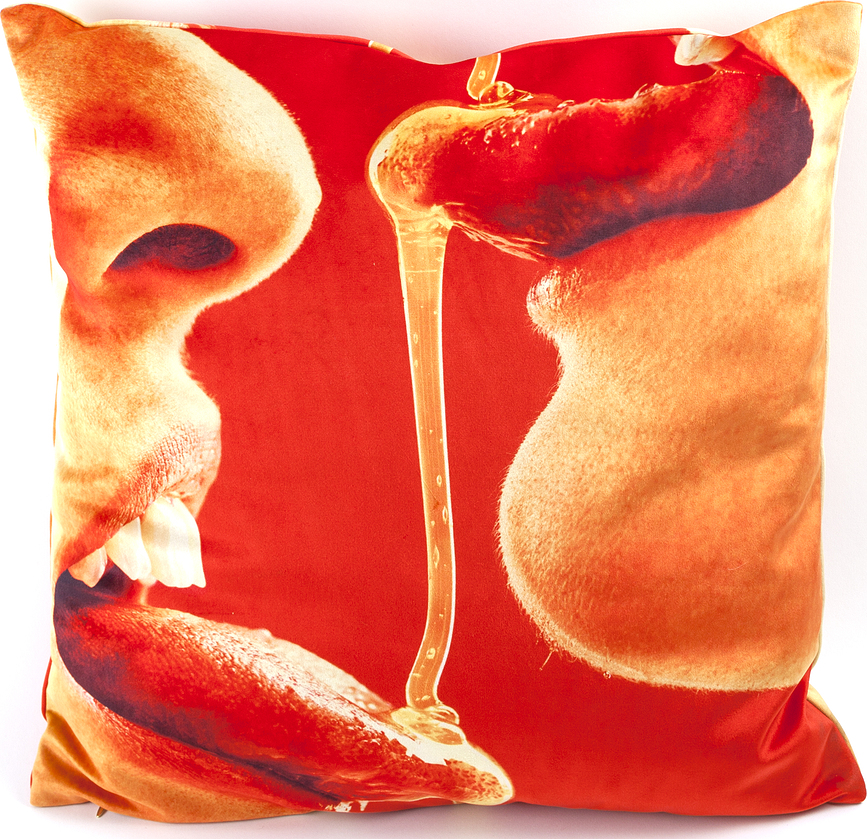 Seletti Wears Toiletpaper Coussin, motif Honey