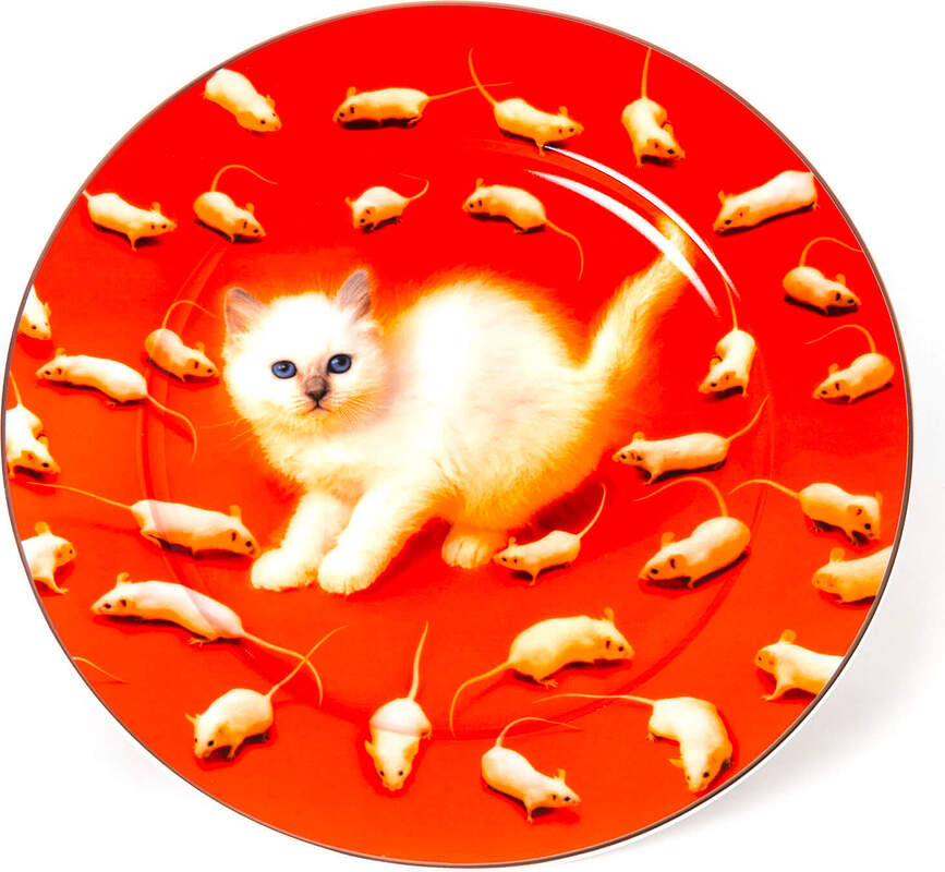 Seletti Wears Toiletpaper Kitten Taldrik kuldse servaga