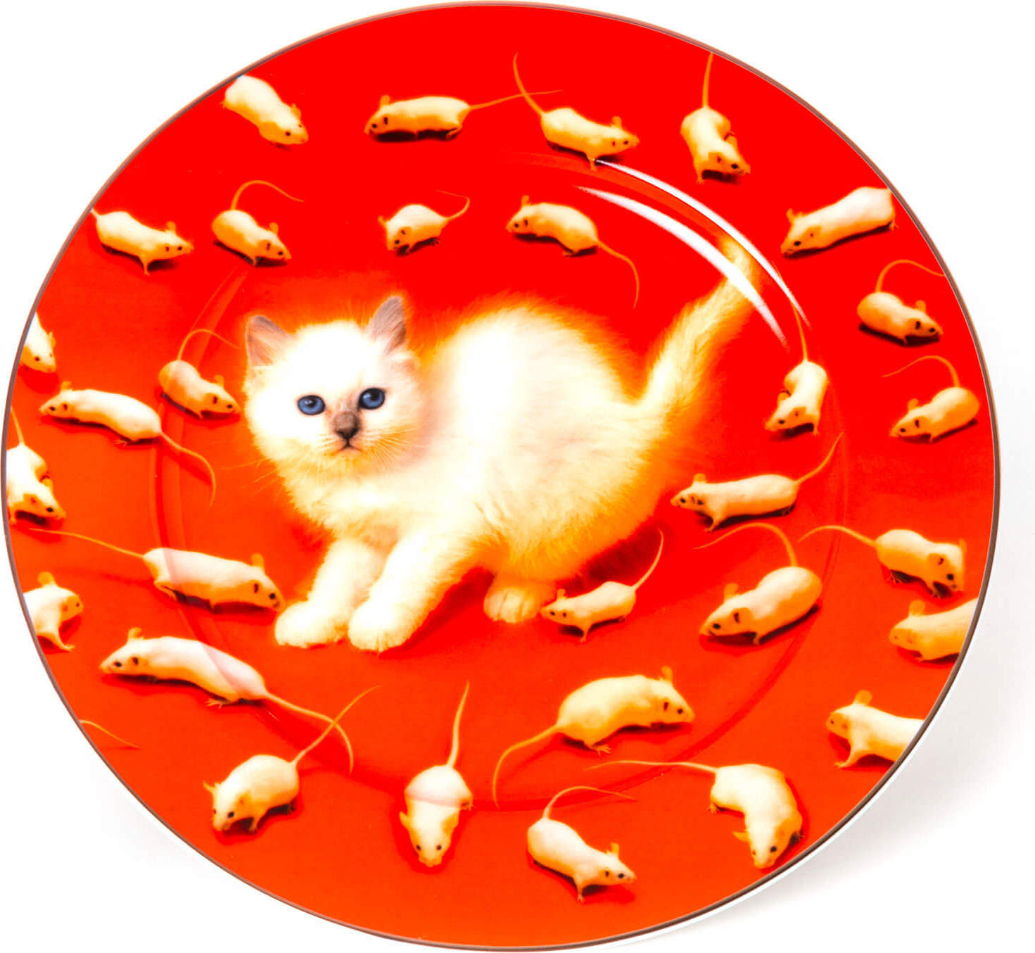 Seletti Wears Toiletpaper Kitten Teller mit goldfarbenem Rand