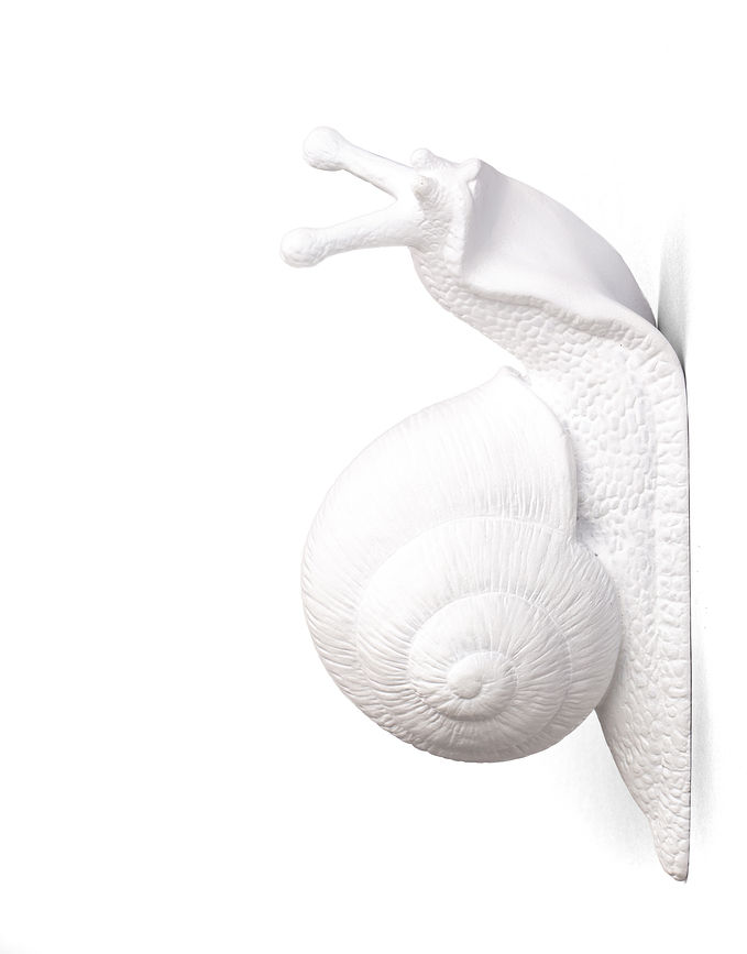 Snail Sleepy Κρεμάστρα