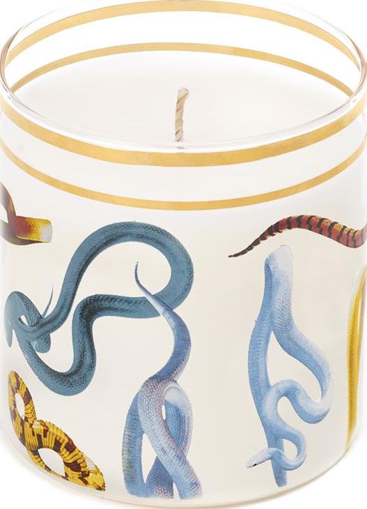 Toiletpaper Snakes Kerze aus Glas