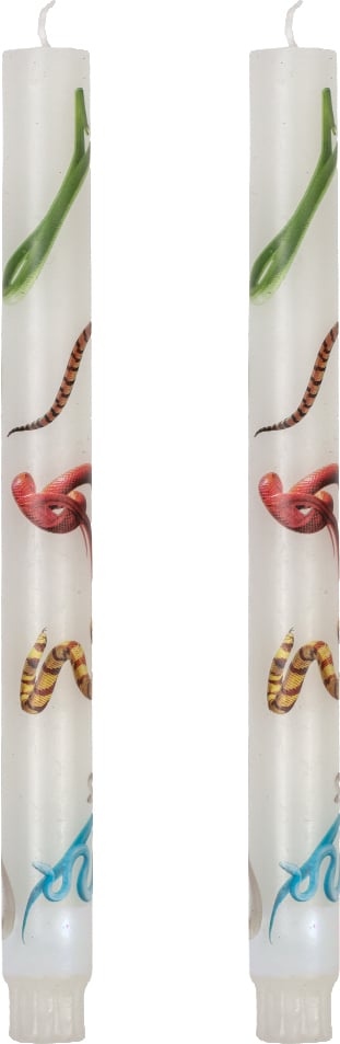 Toiletpaper Snakes Kerzen 27 cm, weiß, 2 St.