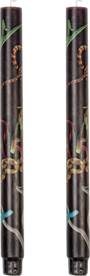 Toiletpaper Snakes Stabkerzen, 27 cm, schwarz, 2 St.