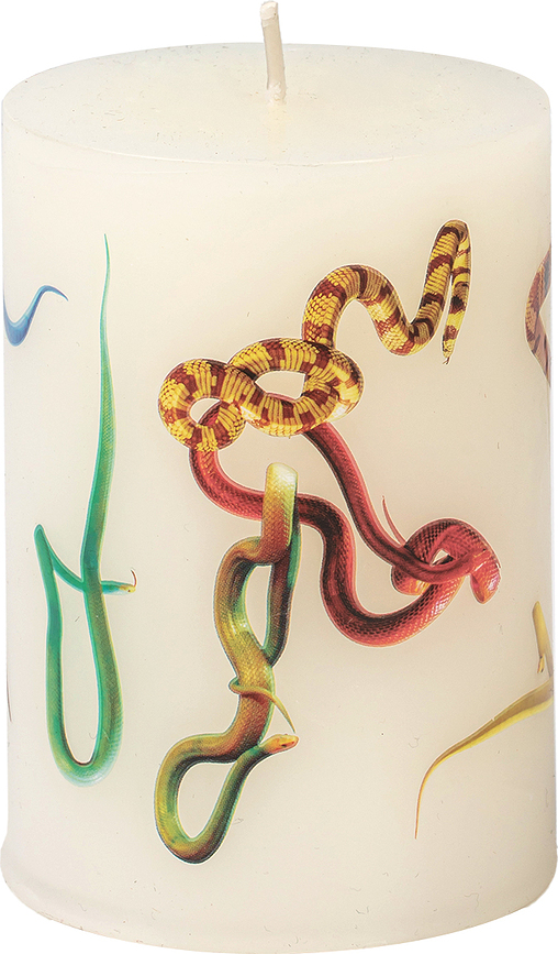 Toiletpaper Snakes White Κερί, 10 cm, λευκό