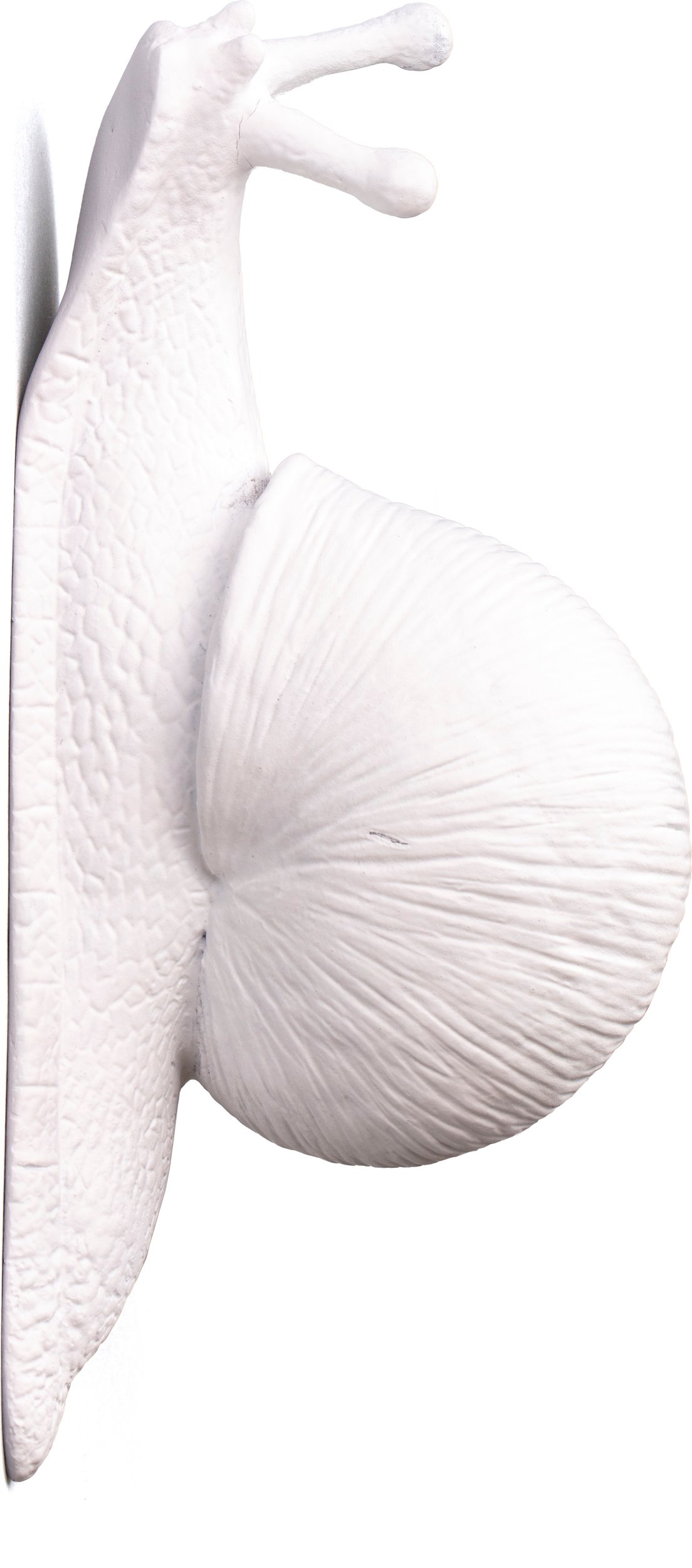 Wieszak Snail Slow