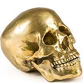 Wunderkammer Dekoration human skull goldfarben