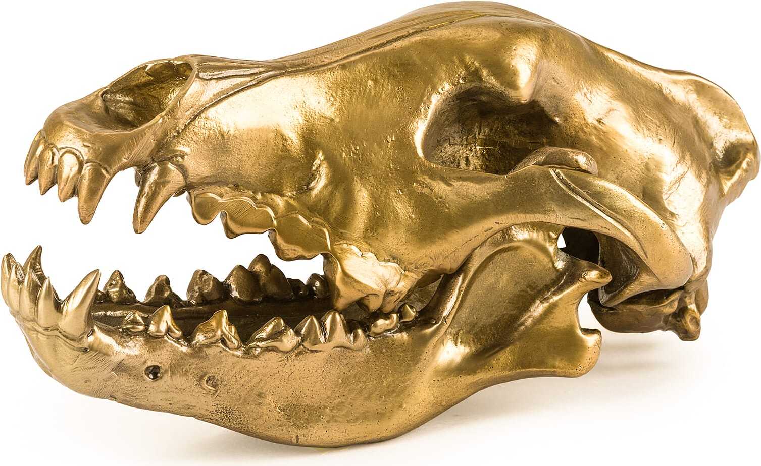Wunderkammer Dekoration wolf skull goldfarben