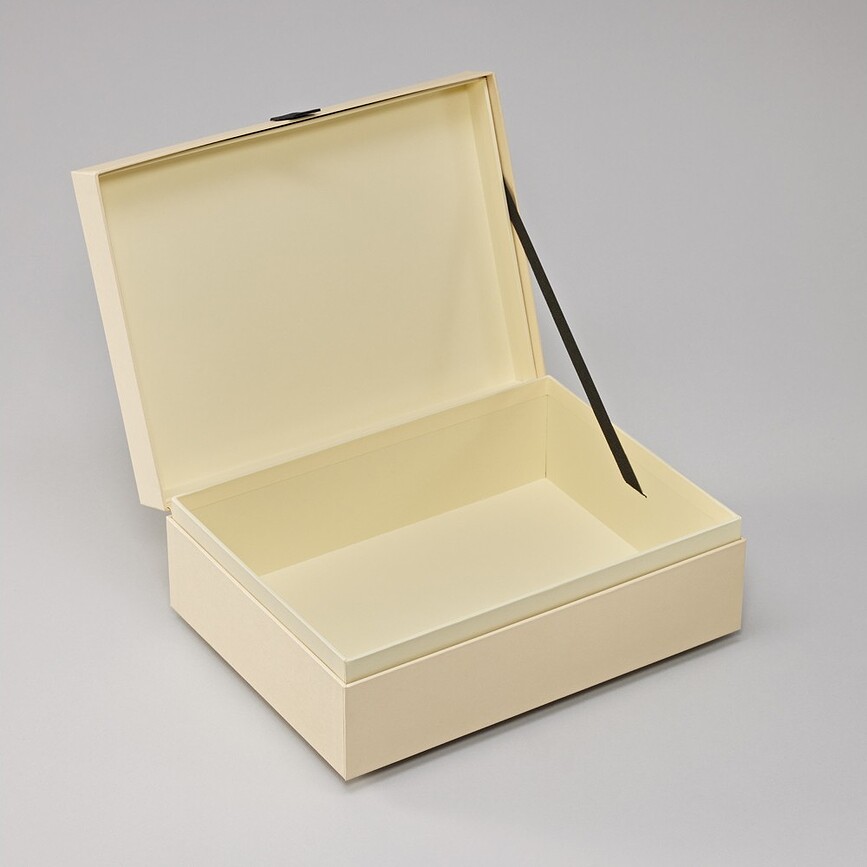 Caja de Almacenaje One Line, L, negra