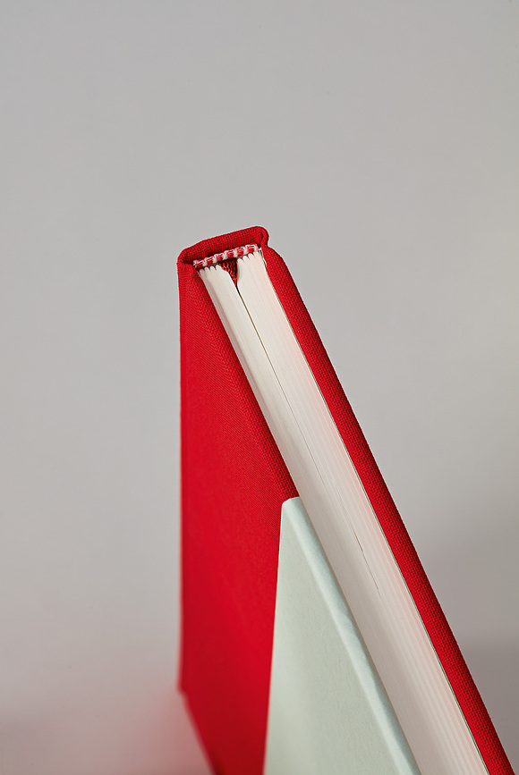 Cutting Edge Carnet à Points, A5, cerise et pistache