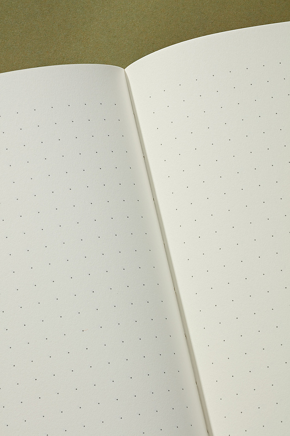 Cutting Edge Carnet à Points, A5, cerise et pistache