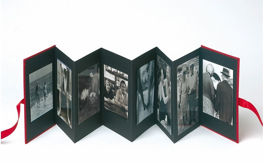 Uni Album photo Leporello vertical, bordeaux