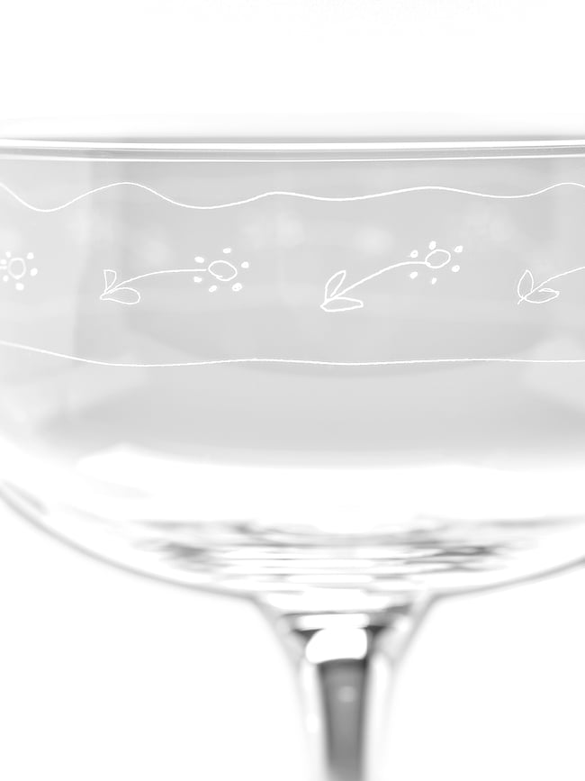 Copa de Champán Coupé Midnight Flowers, 240 ml