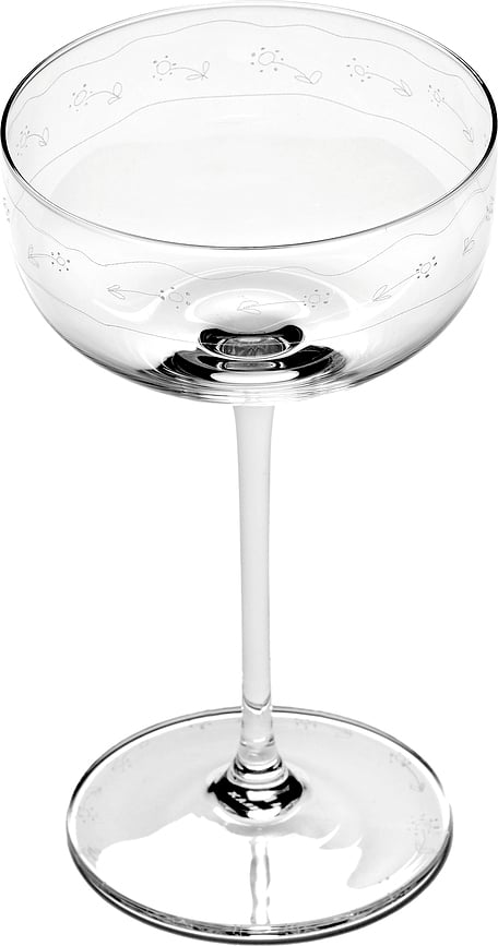 Copa de Champán Coupé Midnight Flowers, 240 ml