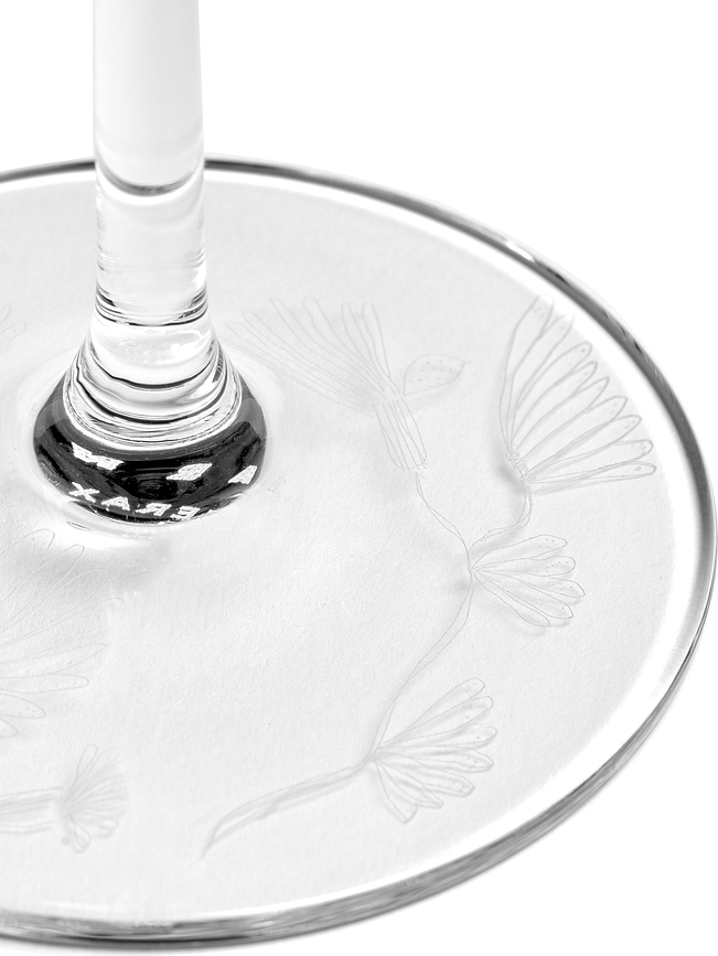 Copa de Champán Midnight Flowers, 260 ml