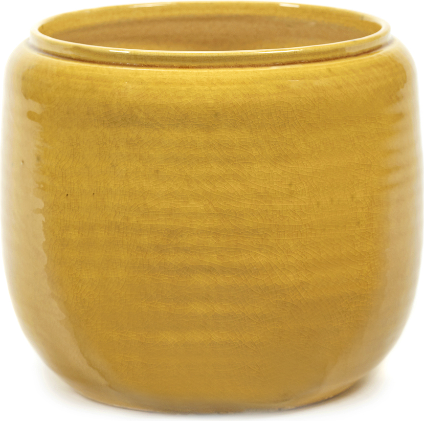 Coprivaso Costa 16,5 cm, giallo