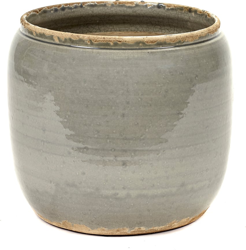 Coprivaso Costa 21 cm grigio