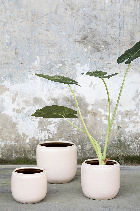 Costa Cache-Pot 18,5 cm, vert