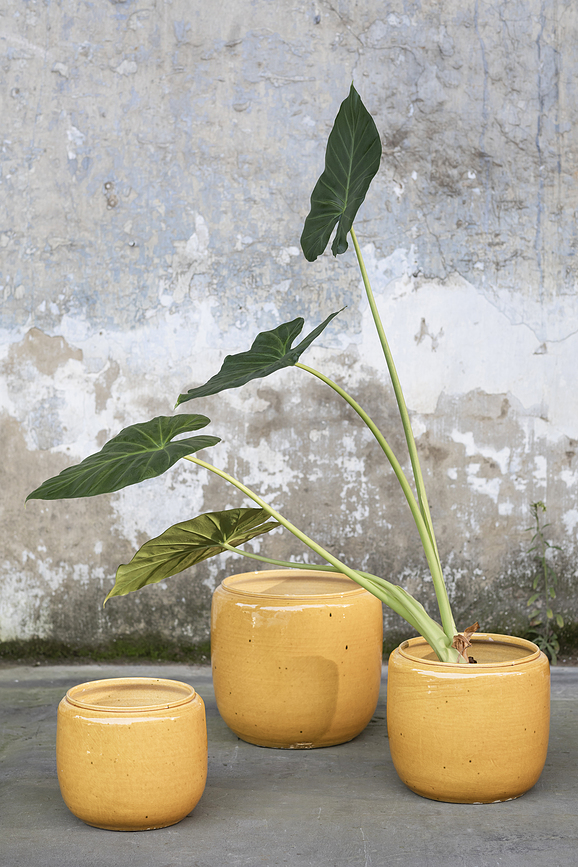 Costa Cache-pot 21 cm, vert