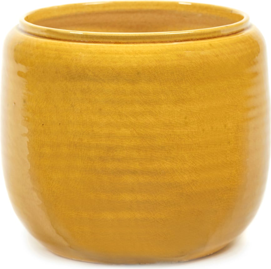 Costa Κασπώ, 16,5 cm, κίτρινο