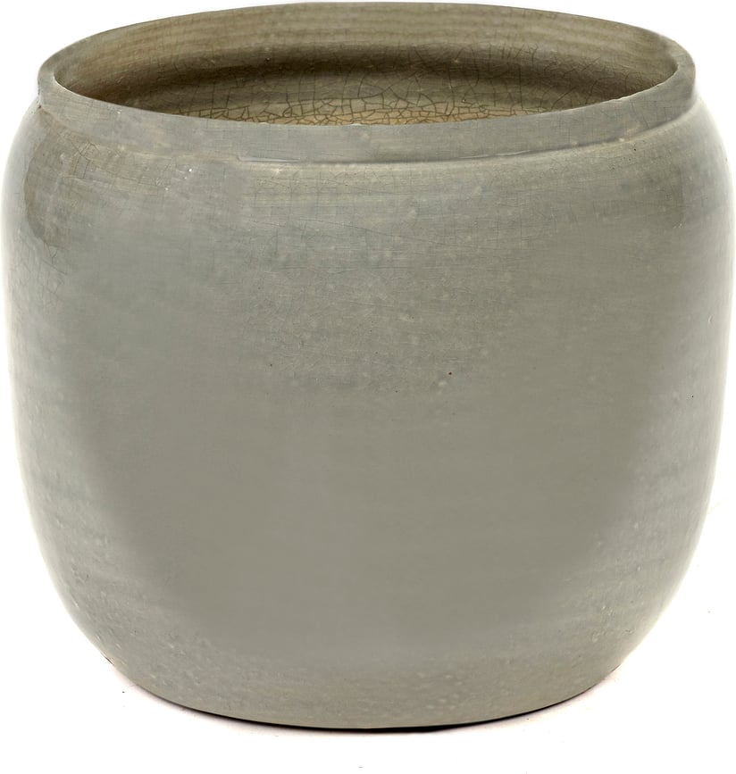 Costa Κασπώ, 16,5 εκ., γκρι