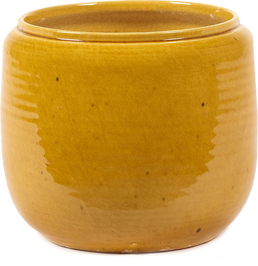 Costa Κασπώ, 18,5 cm, κίτρινο