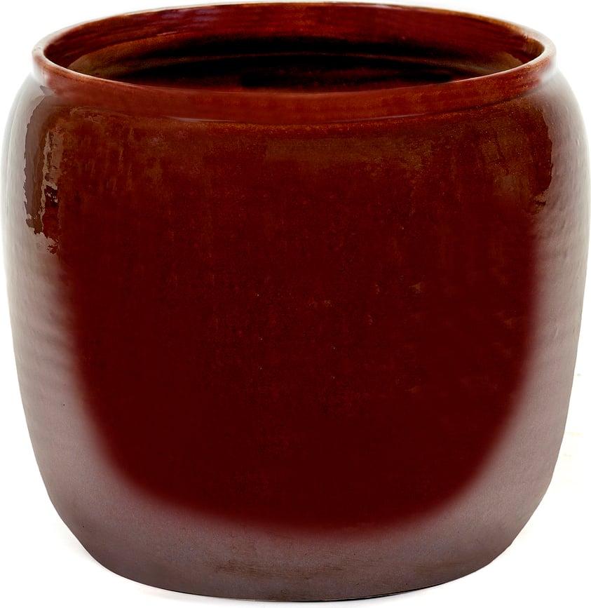 Costa Κασπώ, 18,5 εκ., κόκκινο