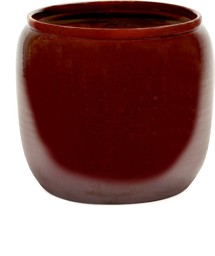 Costa Κασπώ, 21 cm, κόκκινο